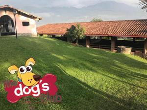 WhatsApp Image 2018-01-28 at 1.28.02 PM (10)