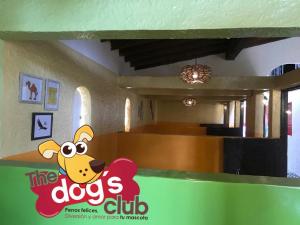 WhatsApp Image 2018-01-28 at 1.28.02 PM (18)